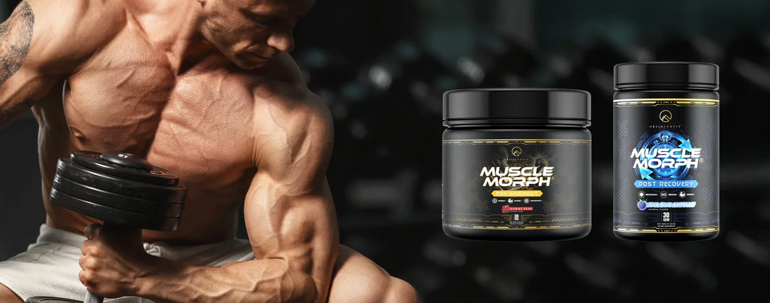 Beginner’s Guide to Pre-, Intra-, and Post-Workout Supplements